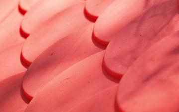 Branksome Park plastic roof costs