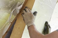 rated Branksome Park roof insulation companies